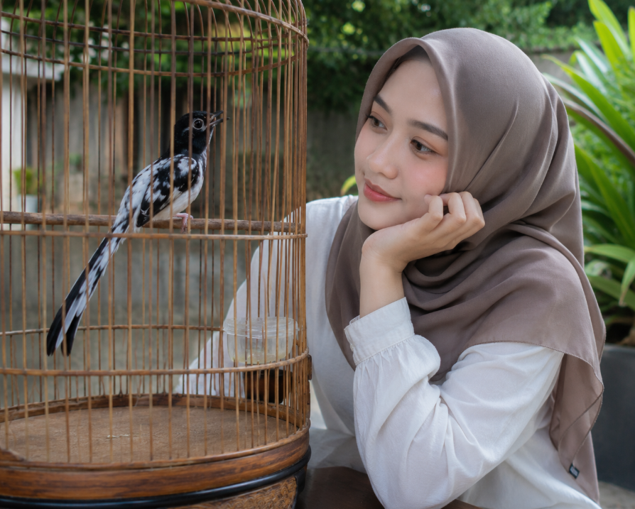 Eksotisme Murai Batu Blorok: Pesona Mutasi Genetik, Keunikan Ciri, dan Panduan Perawatannya Eksotisme Murai Batu Blorok: Pesona Mutasi Genetik, Keunikan Ciri, dan Panduan Perawatannya