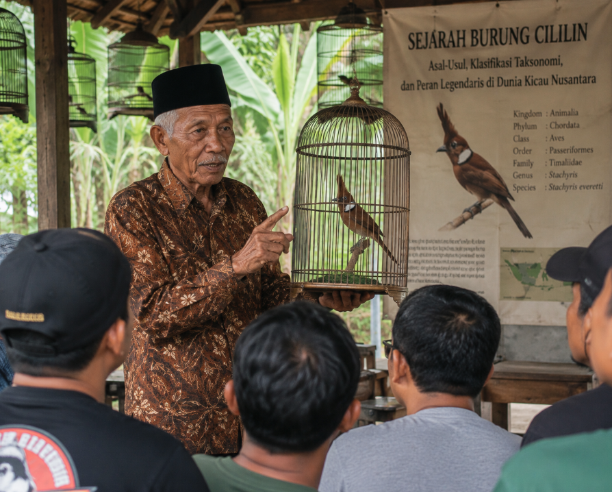 sejarah burung cililin