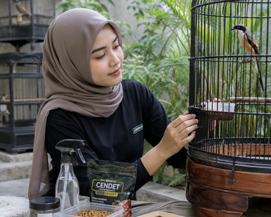 Settingan Harian Cendet Biar Gacor
