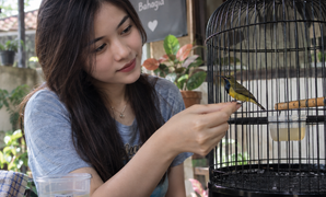 Cara Menjinakkan Burung Sogon