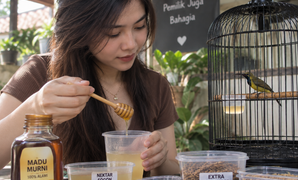 Madu untuk Burung Sogon
