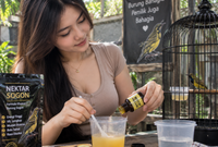 Nektar Burung Sogon