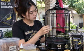 Seni Merawat Sogon Bahan