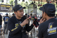 Settingan Sogon untuk Lomba