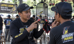 Settingan Sogon untuk Lomba
