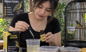 Vitamin Burung Sogon